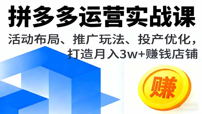 拼多多运营实战课，活动布局、推广玩法、投产优化，打造月入3w+赚钱店铺-鑫梵淘