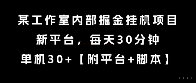 某工作室内部掘金挂G项目，新平台，每天30分钟，单机30+【揭秘】-鑫梵淘