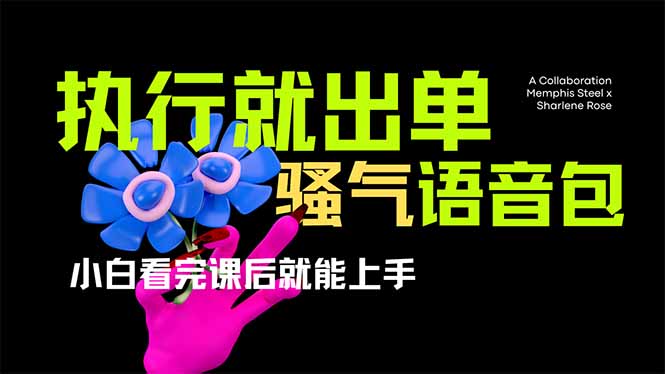 爆火全网的开车导航骚气语音包,只要执行就出单，小白看完课程就能实操…-鑫梵淘