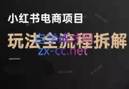 菲菲老师·小红书电商玩法(更新9月)-鑫梵淘