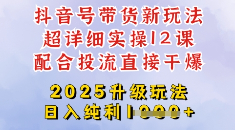 2025全新升级抖音带货玩法，一天纯利四位数，从剪辑到选品再到发布投流，超详细玩法揭秘-鑫梵淘