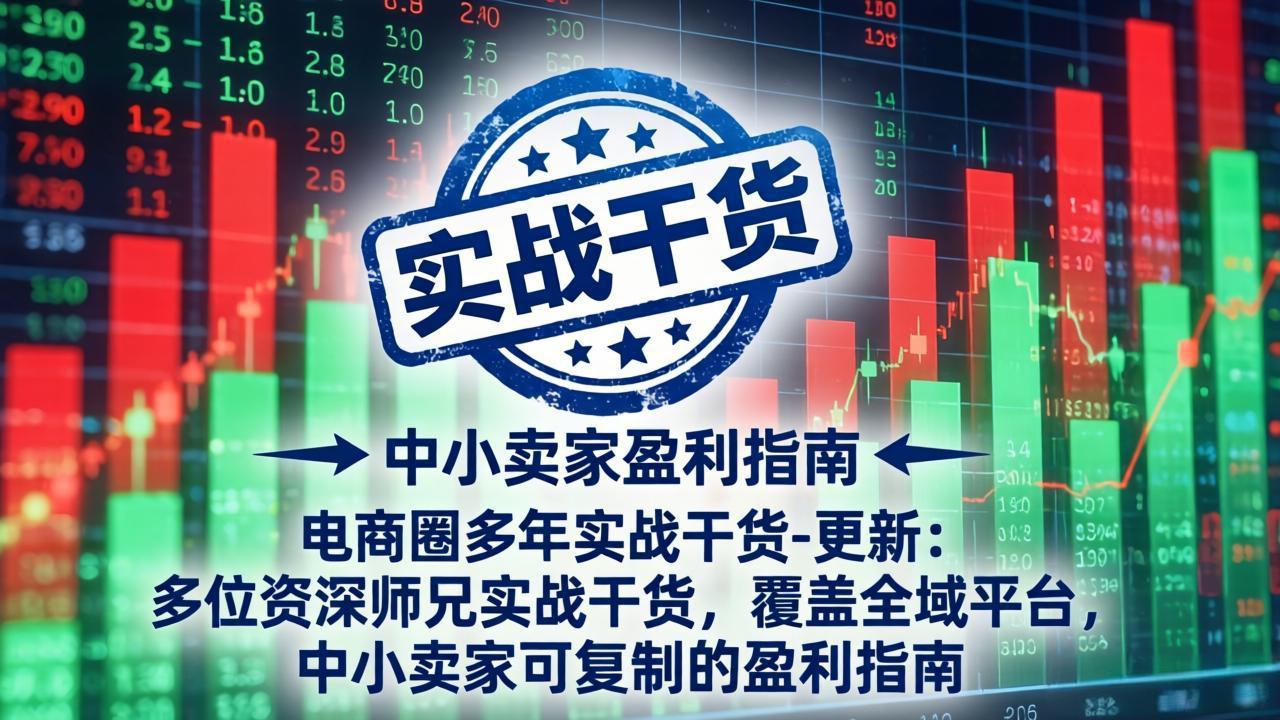电商圈多年实战干货-更新4月27：多位资深师兄实战干货/覆盖全域平台，中小卖家可复制的盈利指南-鑫梵淘