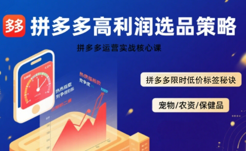 久号老师·拼多多选品暴利技术实战课-鑫梵淘