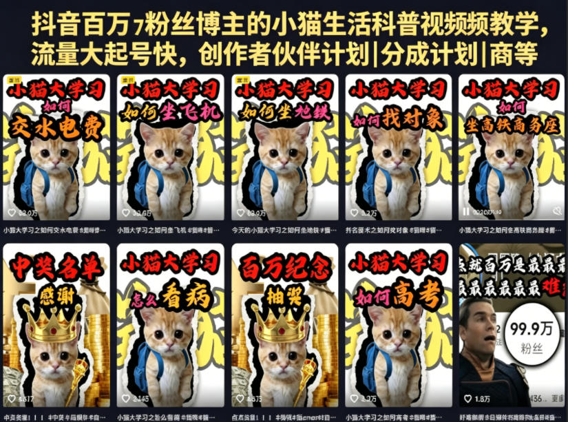 抖音百万粉丝博主的小猫生活科普视频教学，流量大起号快，创作者伙伴计划|分成计划|商单|收徒等-鑫梵淘