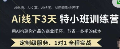 AI实操培训第20-21期线下，0基础保姆级教程，3月最新整理，企业获客、降本增效、打造超级个体-鑫梵淘
