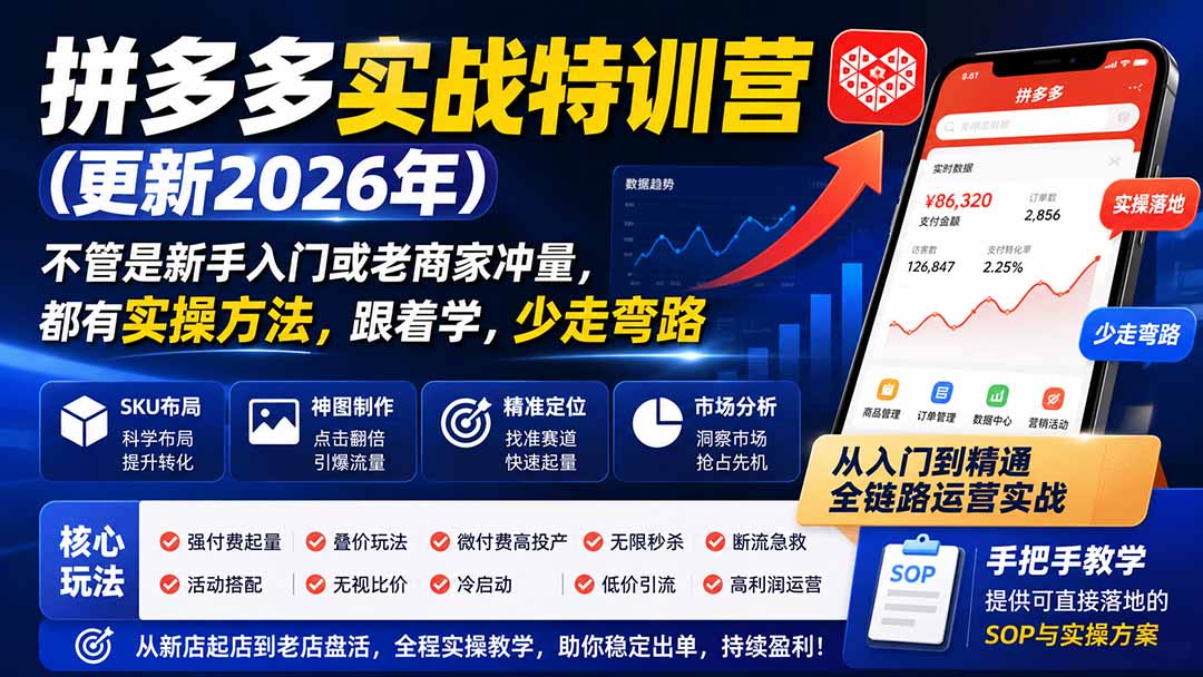 拼多多实战特训营(更新26年9月-鑫梵淘