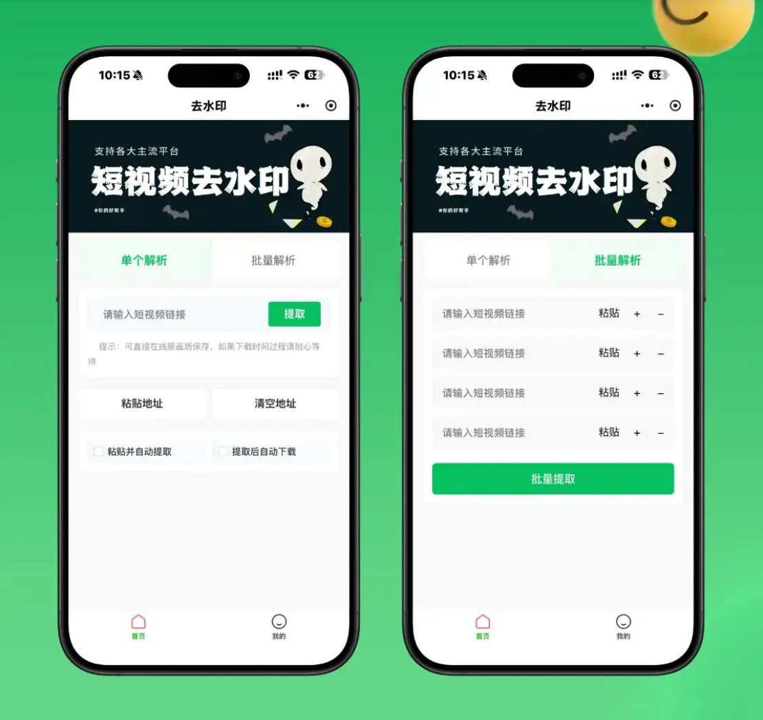 2026最新去水印小程序源码 v1.6.5 带流量主-鑫梵淘