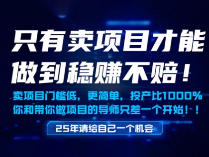只有卖项目才能做到稳挣不赔，门槛低，更简单，你也可以年入百个W【揭秘】-鑫梵淘