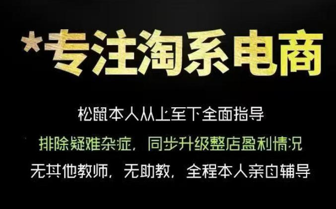 松鼠会电商VIP课程，从基础布局到高阶优化，助你掌握淘宝运营逻辑，提升店铺流量与转化(更新0910)-鑫梵淘