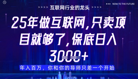 什么！25年你还在找项目做？风口早就变了，卖项目才是稳挣不赔【揭秘】-鑫梵淘