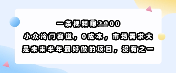 一条视频挣1k，小众冷门赛道，0成本，市场需求大，是未来半年最好做的项目，没有之一-鑫梵淘