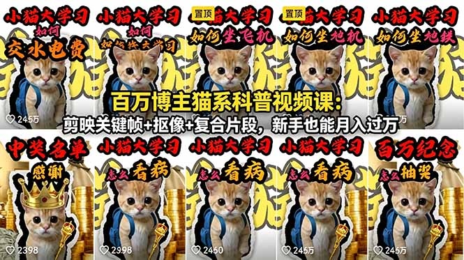 百万博主猫系科普视频课：剪映关键帧+抠像+复合片段，新手也能月入过万-鑫梵淘