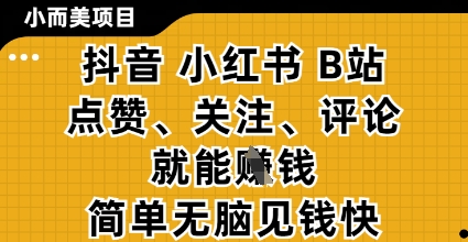 小而美的项目，抖音小红书B站视频点赞、关注、评论就能挣钱，简单无脑立见收益，妥妥的零撸项目【揭秘】-鑫梵淘