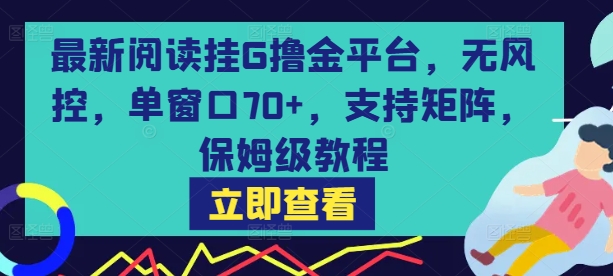 最新阅读挂G撸金平台，无风控，单窗口70+，支持矩阵，保姆级教程【揭秘】-鑫梵淘