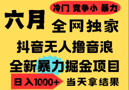 25年6月高爆抖音无人直播最新撸音浪掘金项目，小白可做，无脑日入1k+，门槛低可批量矩阵【揭秘】-鑫梵淘