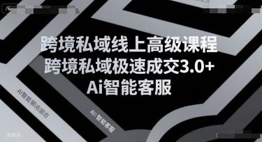 跨境私域线上高级课程，跨境私域极速成交3.0+Ai智能客服-鑫梵淘