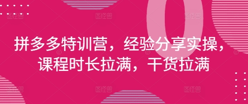 拼多多特训营，经验分享实操，课程时长拉满，干货拉满(更新25年4月)-鑫梵淘