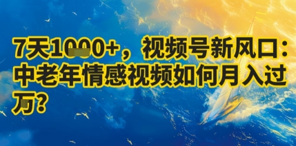 7天收益1k+，视频号新风口：中老年情感视频如何月入过W?-鑫梵淘