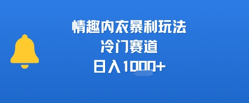 情趣内衣暴利玩法，冷门赛道，日入1k+-鑫梵淘