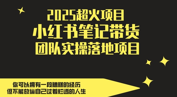 2025超火项目，副业最佳选择，小红书笔记带货团队实操落地项目，，轻松日入5张-鑫梵淘