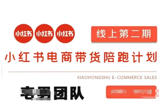 小红书电商带货课2期，月利润20个的小红书电商的有货源，无货源，虚拟产品，付费投流等整套玩法-鑫梵淘