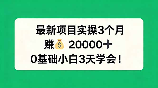 最新项目实操3个月，赚钱20000+，0基础小白3天学会！-鑫梵淘