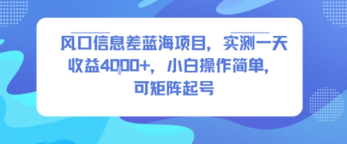 风口信息差蓝海项目，实测一天收益4k+，小白操作简单，可矩阵起号-鑫梵淘