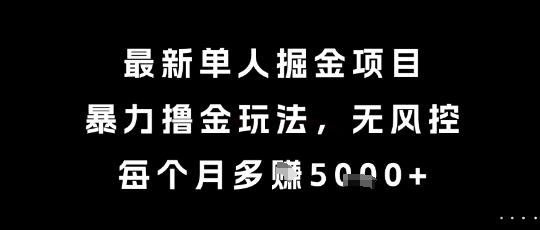 最新单人掘金项目，暴力撸金玩法，无风控，每个月多挣5k+【揭秘】-鑫梵淘