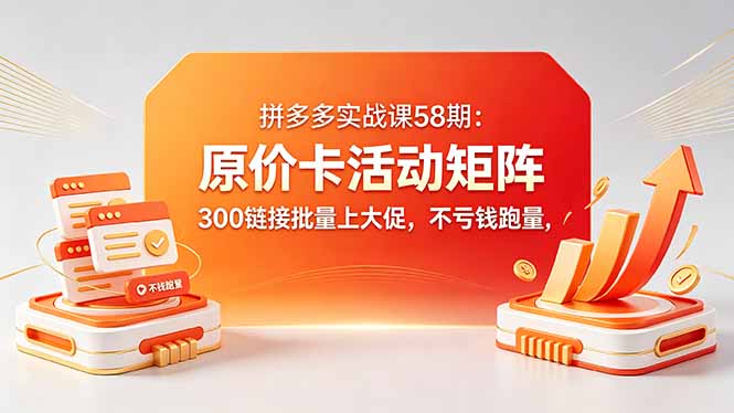 拼多多实战课58期：原价卡活动矩阵，300链接批量上大促，不亏钱跑量-鑫梵淘