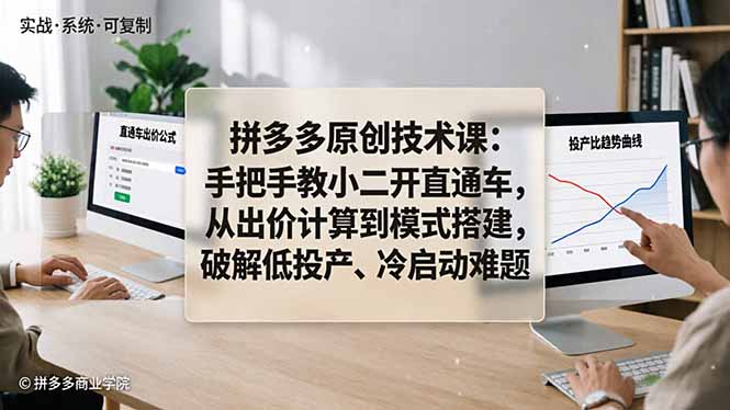 拼多多原创技术课：手把手教小二开直通车，从出价计算到模式搭建，破解低投产、冷启动难题-鑫梵淘