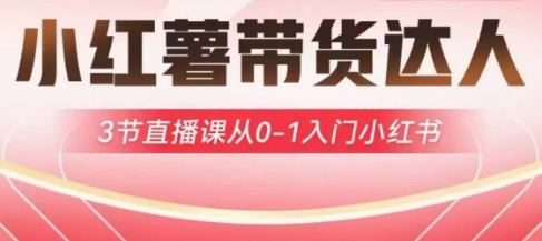 小红薯达人带货启航计划，3节直播课从0-1入门小红书-鑫梵淘