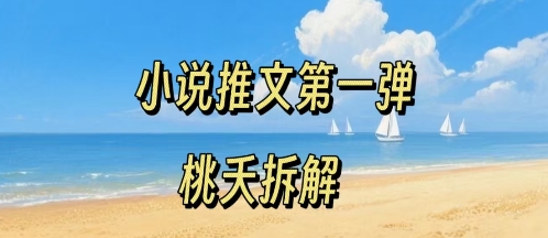 小说推文项目操作全流程第一弹，0粉就能做，门槛低非常适合新手-鑫梵淘