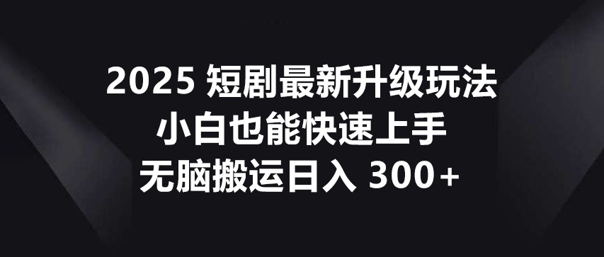 2025短剧最新升级玩法，小白也能快速上手，无脑搬运日入300+-鑫梵淘