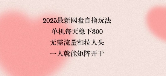 2025最新网盘自撸玩法，单机每天稳下3张，无需流量和拉人头，一个人就可轻松矩阵，全网独一份【揭秘】-鑫梵淘