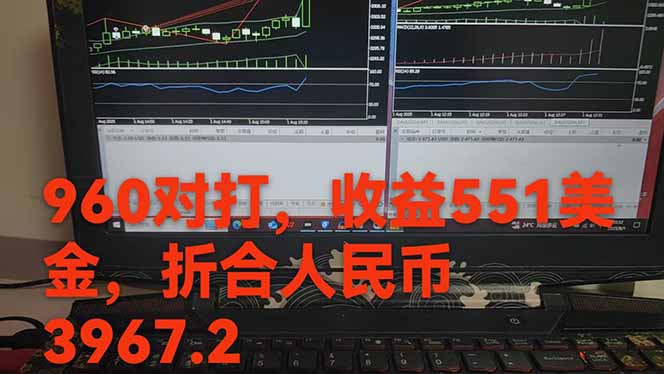 图片[1]-稳定8年的美刀搬砖项目，单人每日收益800—3000.团队4人月入10W+.可线下-鑫梵淘