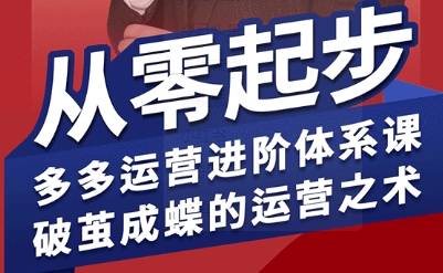 拼多多运营进阶系统课，从零起步，多多运营进阶体系课，破茧成蝶的运营之术(更新9月)-鑫梵淘