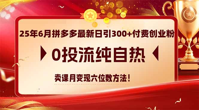 25年6月拼多多最新日引300+付费创业粉，0投流纯自热 卖课月变现六位数方法-鑫梵淘