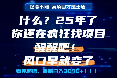 什么？25年你还在疯狂找项目做，醒醒吧，看完这些你全都懂了！【揭秘】-鑫梵淘