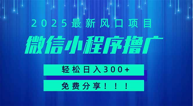 微信小程序撸广，最新风口项目，日入300+ 免费分享 可批量操作 小白可...-鑫梵淘