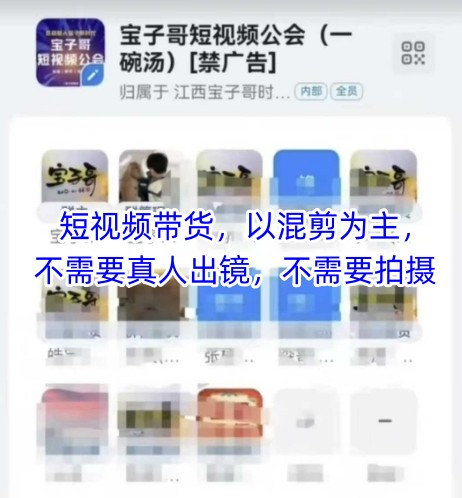 宝子哥头部团队短视频带货，以混剪为主，不需要真人出镜，不需要拍摄【更新6月】-鑫梵淘