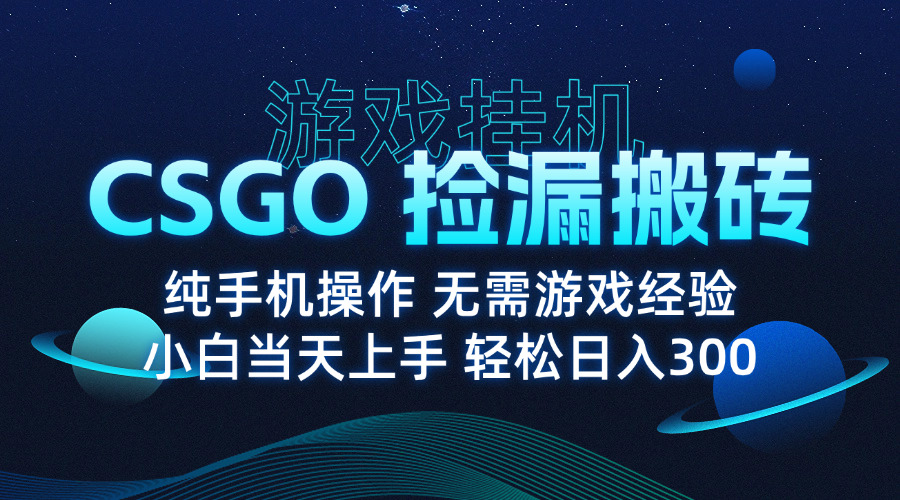 8月最新游戏搬砖，CSGO纯挂机，不需要玩游戏，实现真挂机，月入1W+-鑫梵淘