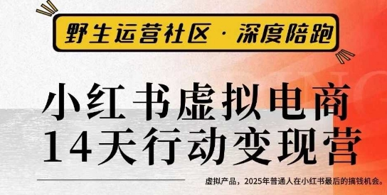 小红书虚拟电商14天变现训练营3.0，​虚拟产品，2025年普通人在小红书最后的搞钱机会-鑫梵淘