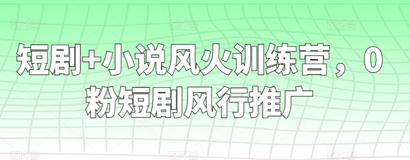 短剧+小说风火训练营，0粉短剧风行推广-鑫梵淘