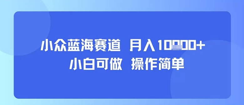 小众蓝海赛道，小白可做，操作简单，每天30分钟，月入1W+-鑫梵淘