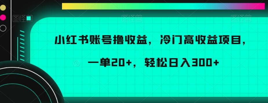 小红书账号撸收益，冷门高收益项目，一单20+，轻松日入300+【揭秘】-鑫梵淘
