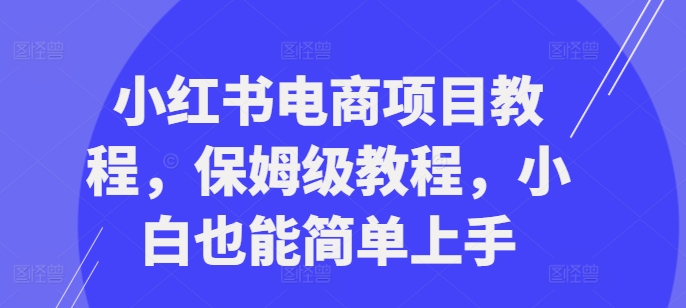 小红书电商项目教程，保姆级教程，小白也能简单上手-鑫梵淘