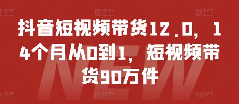 抖音短视频带货12.0，14个月从0到1，短视频带货90万件-鑫梵淘
