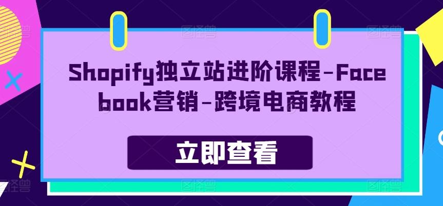 Shopify独立站进阶课程-Facebook营销-跨境电商教程-鑫梵淘