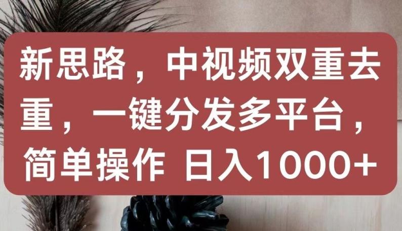新思路，中视频双重去重，一键分发多平台，简单操作，日入1000+【揭秘】-鑫梵淘