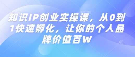 知识IP创业实操课，从0到1快速孵化，让你的个人品牌价值百W-鑫梵淘